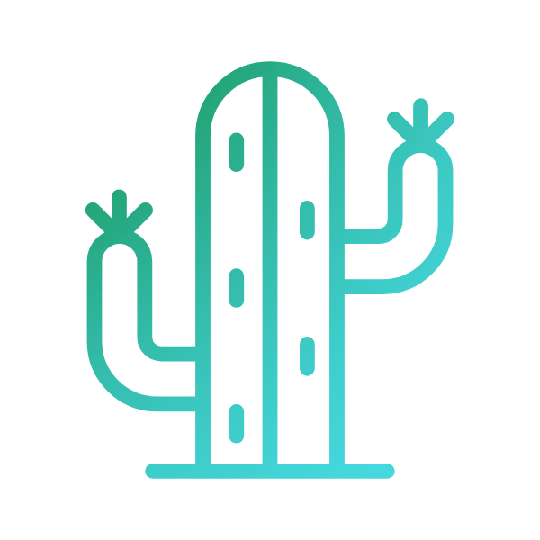 Cactus Image