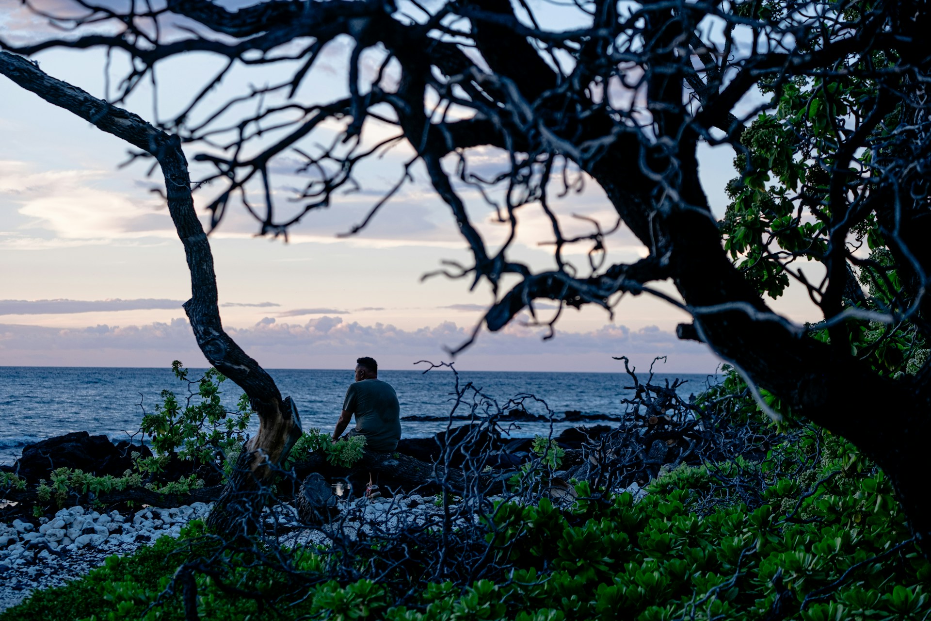 Waikoloa Dry Forest Preserve