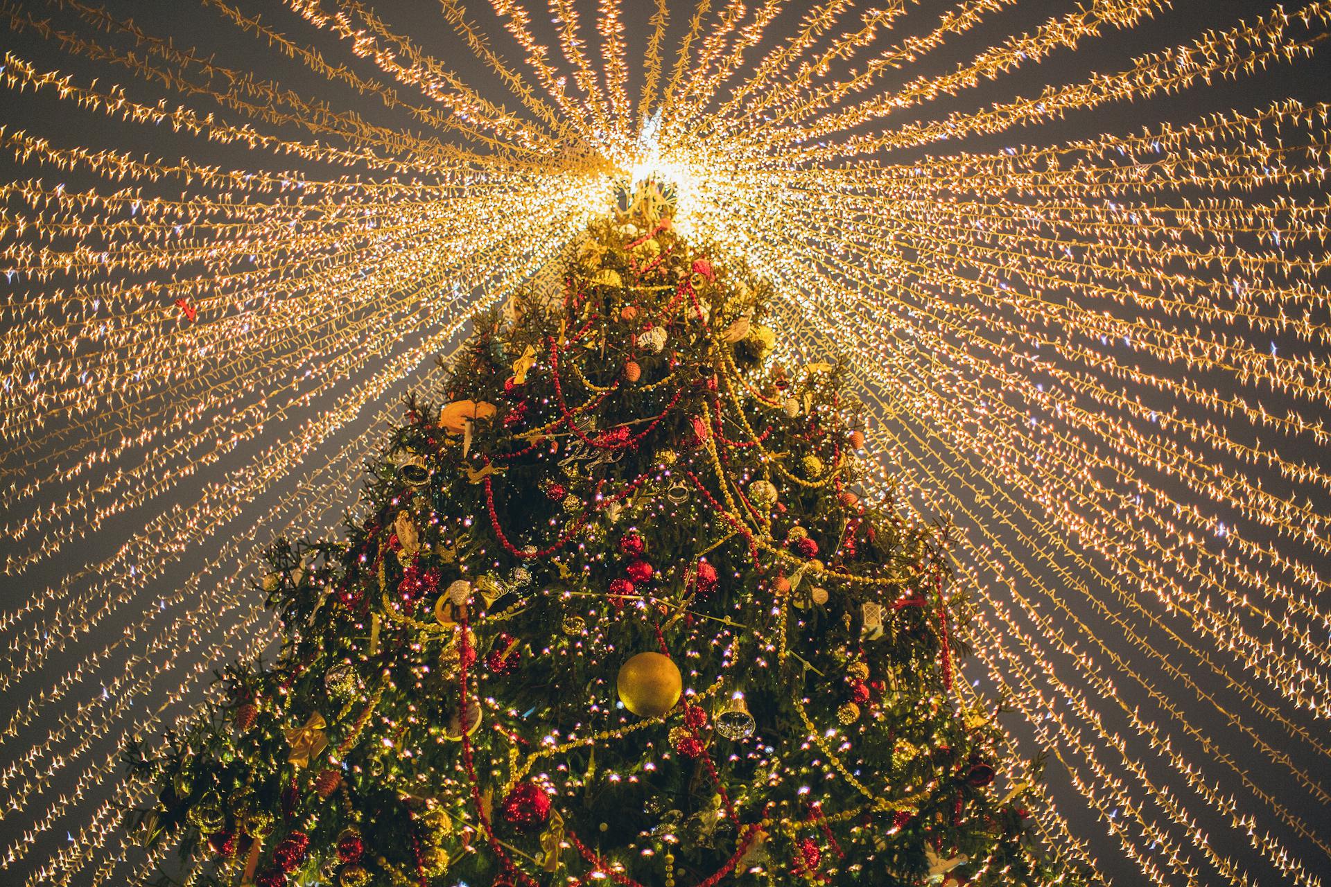 Where to See Christmas Lights in Indio and La Quinta